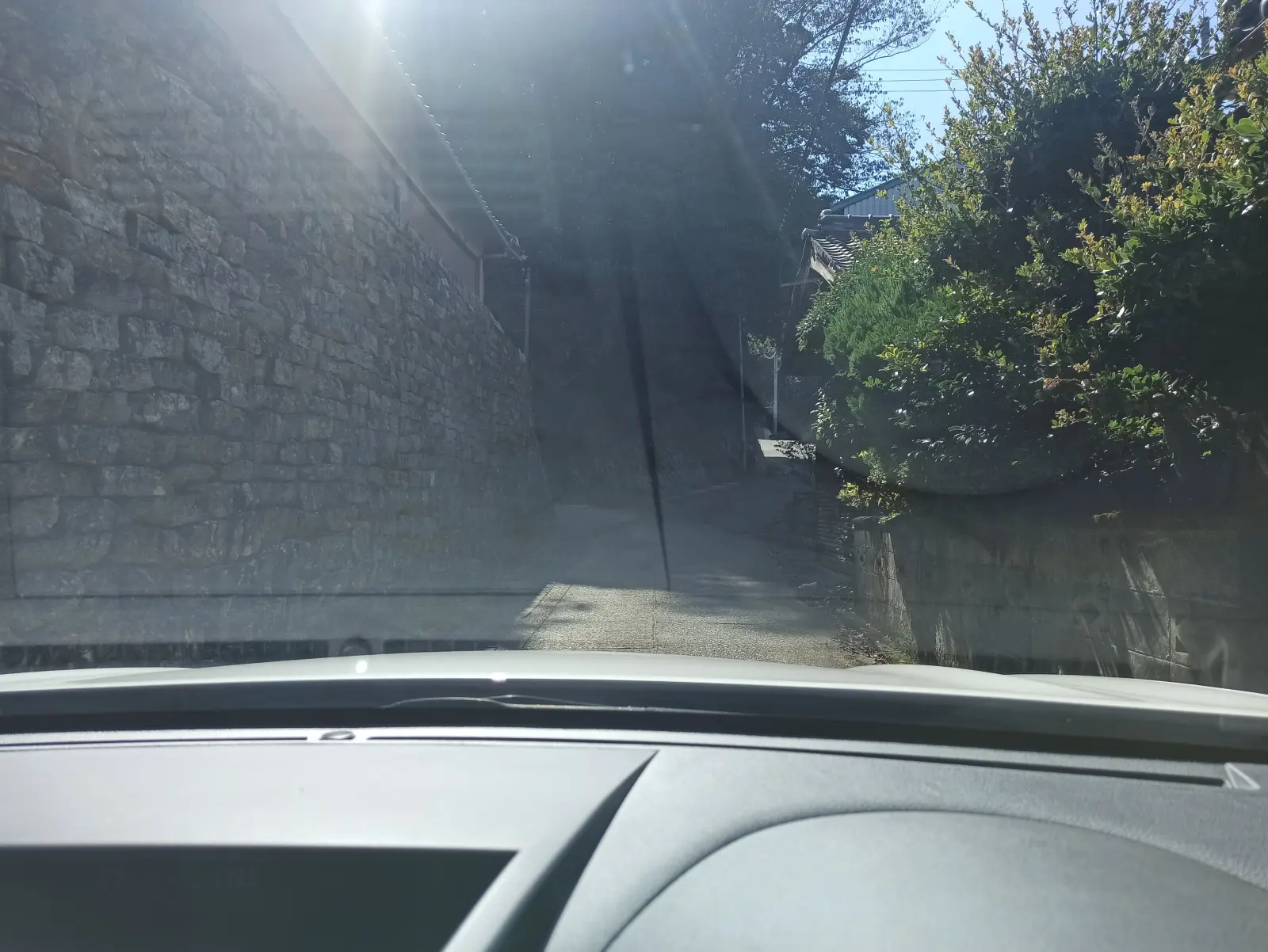 みかん畑の中を運転